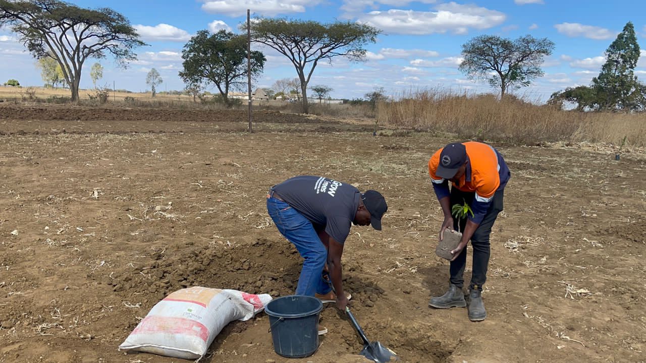 Interactive tree map